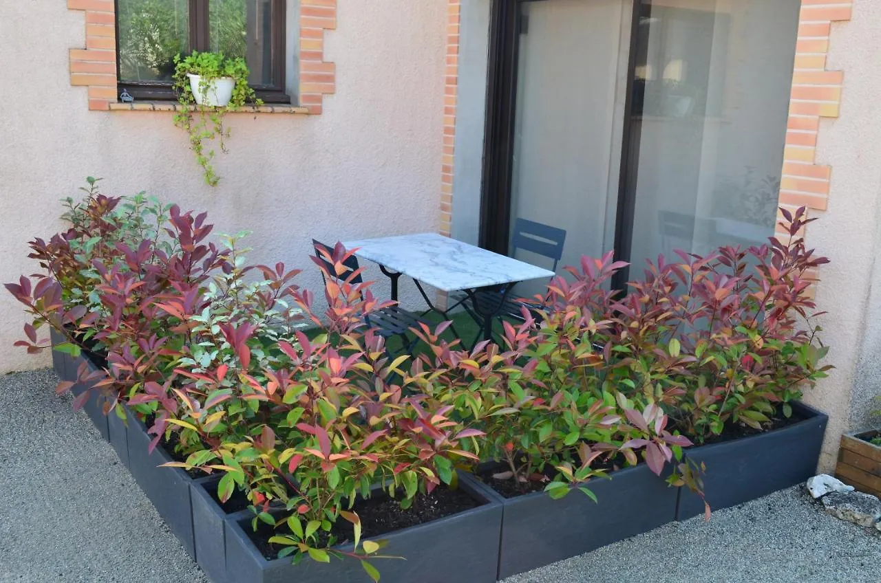 Les Terrasses De L'Oliu De L'Oustalet Villa Castelsarrasin Vakantiehuis
